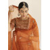 Rust Lehenga Choli